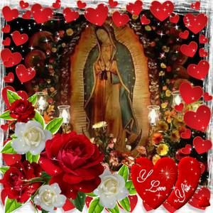 Meet your Posher, Silvia